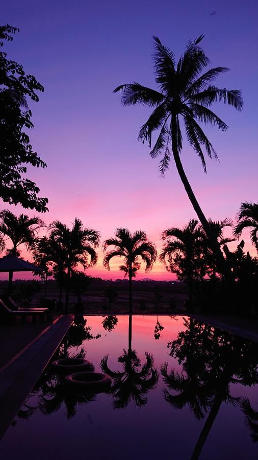Hoi An Four Seasons Villa Exterior foto